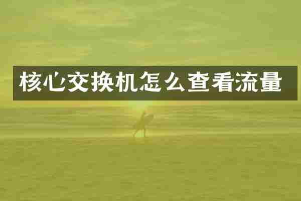核心交换机怎么查看流量