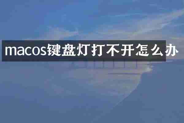macos键盘灯打不开怎么办