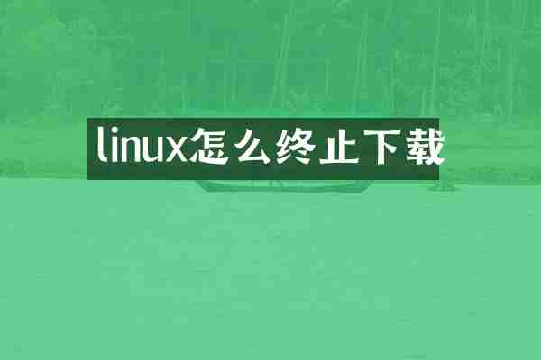 linux怎么终止下载