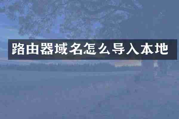 路由器域名怎么导入本地