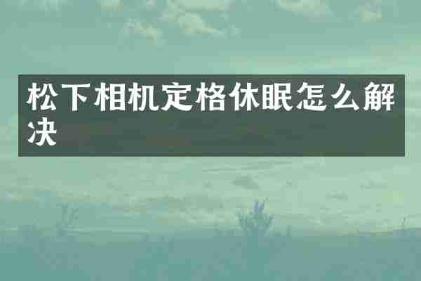 松下相机定格休眠怎么解决