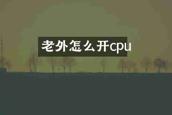 老外怎么开cpu