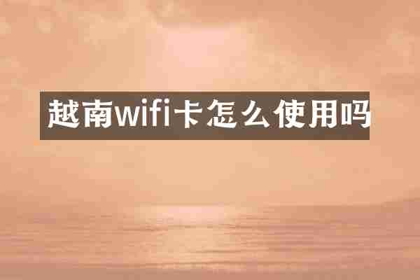 越南wifi卡怎么使用吗