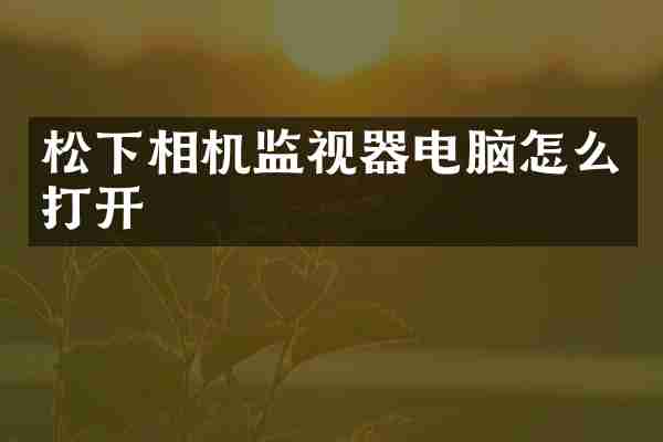 松下相机监视器电脑怎么打开