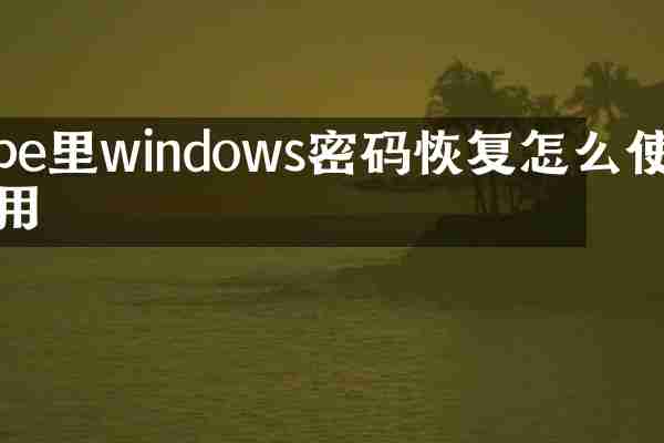 pe里windows密码恢复怎么使用