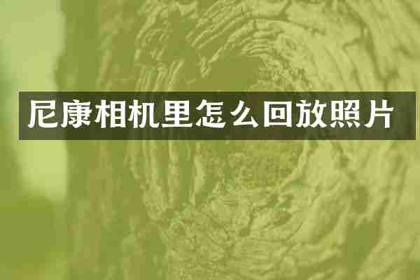尼康相机里怎么回放照片