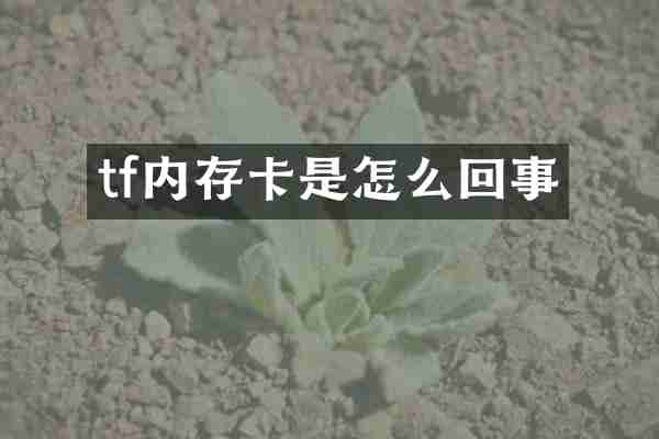 tf内存卡是怎么回事