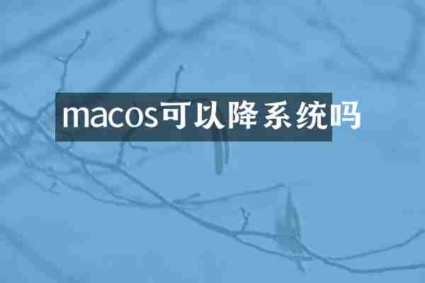 macos可以降系统吗