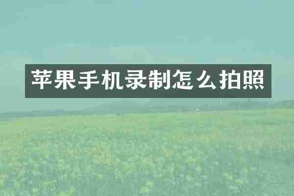苹果手机录制怎么拍照
