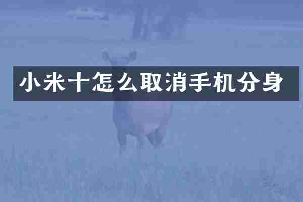 小米十怎么取消手机分身