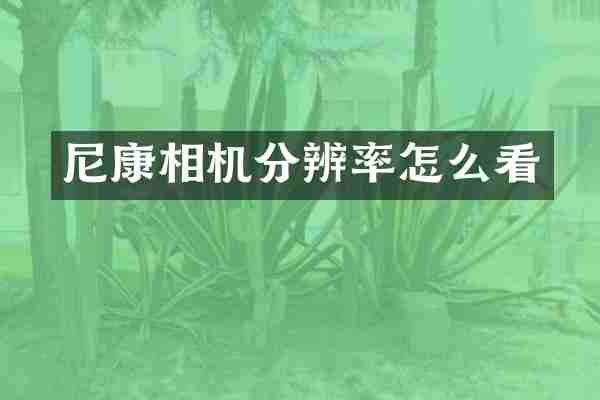 尼康相机分辨率怎么看