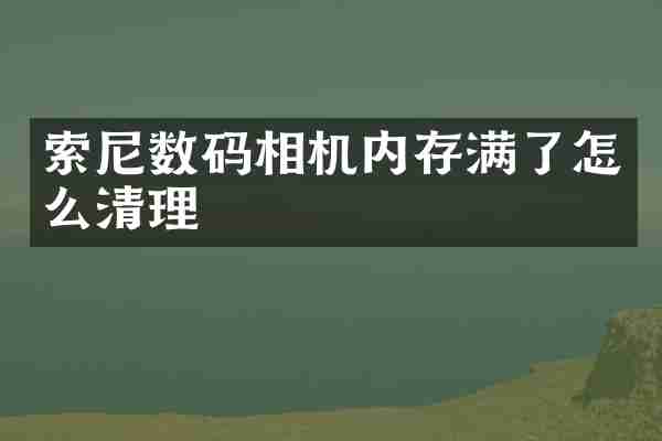 数码相机内存满了怎么清理