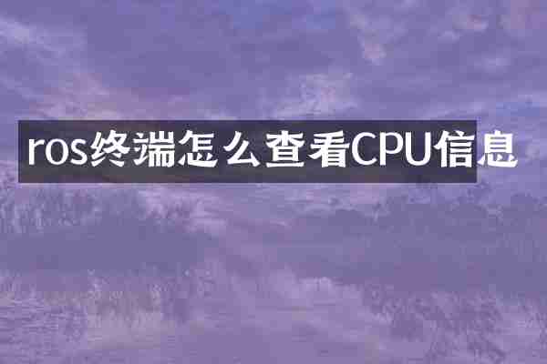 ros终端怎么查看CPU信息