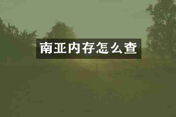 南亚内存怎么查