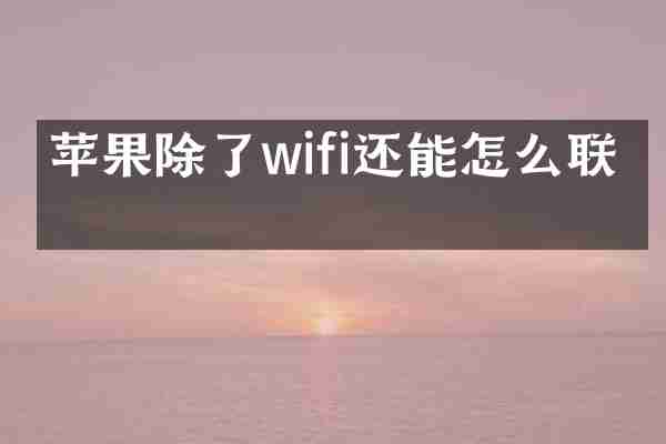 苹果除了wifi还能怎么联网