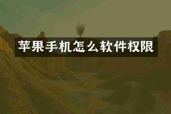 苹果手机怎么软件权限