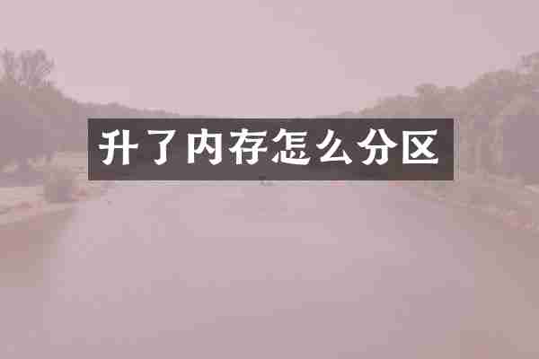 升了内存怎么分区