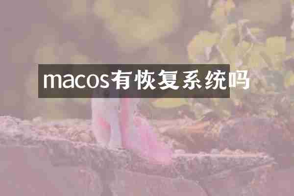 macos有恢复系统吗