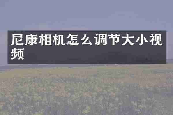 尼康相机怎么调节大小视频