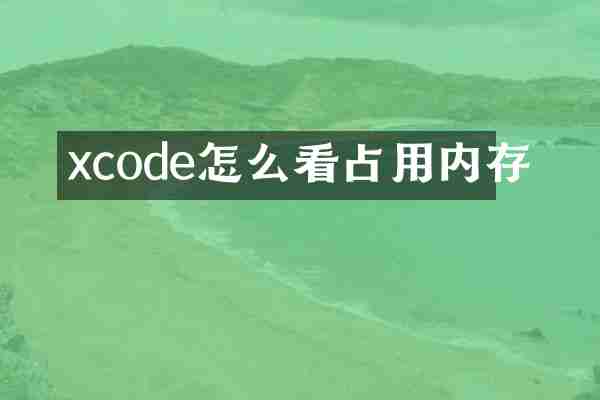 xcode怎么看占用内存