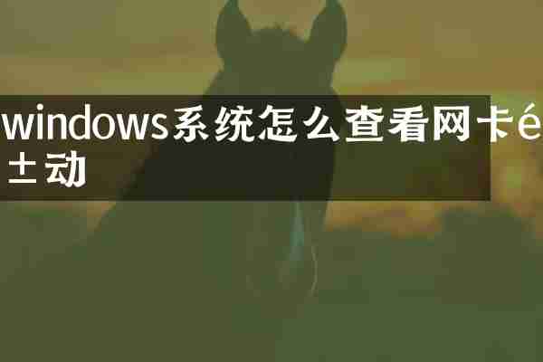 windows系统怎么查看网卡驱动