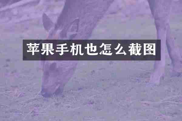 苹果手机也怎么截图