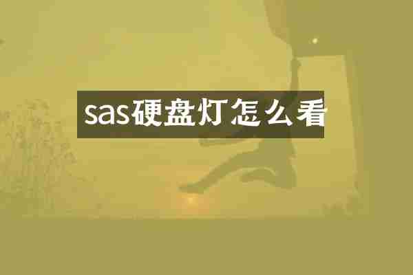 sas硬盘灯怎么看