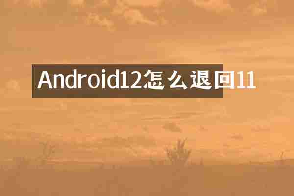 Android12怎么退回11