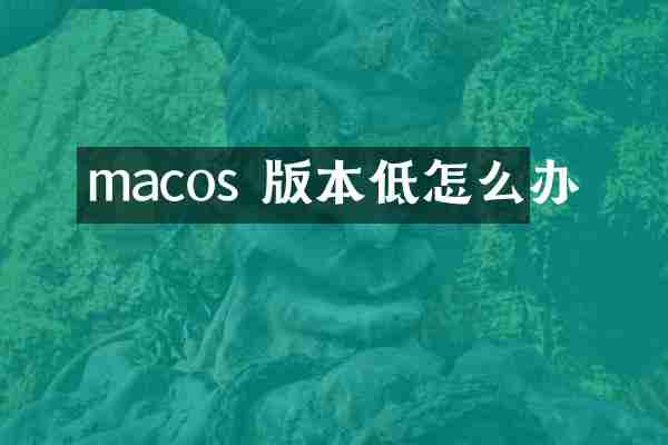 macos 版本低怎么办