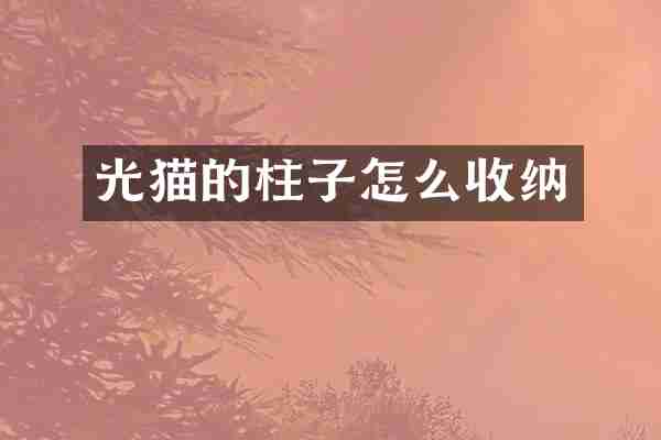 光猫的柱子怎么收纳
