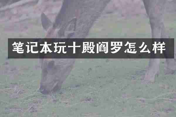 笔记本玩十殿阎罗怎么样