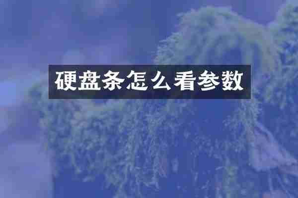 硬盘条怎么看参数