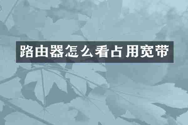 路由器怎么看占用宽带
