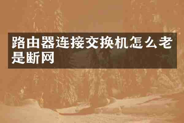 路由器连接交换机怎么老是断网