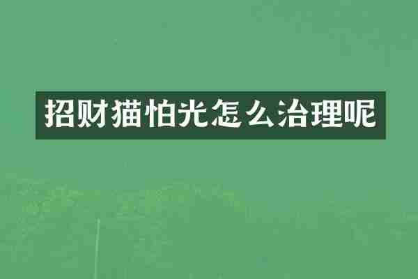 招财猫怕光怎么治理呢