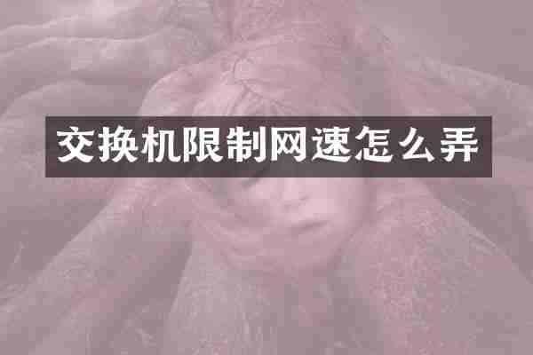 交换机限制网速怎么弄