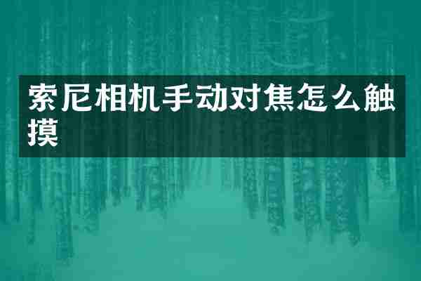 索尼相机手动对焦怎么触摸