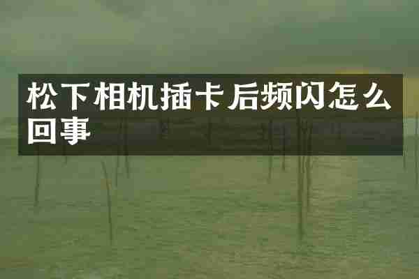 松下相机插卡后频闪怎么回事