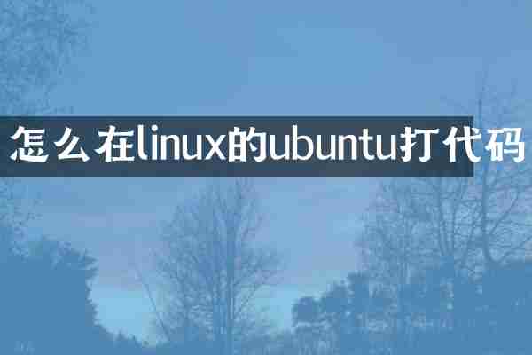 怎么在linux的ubuntu打代码