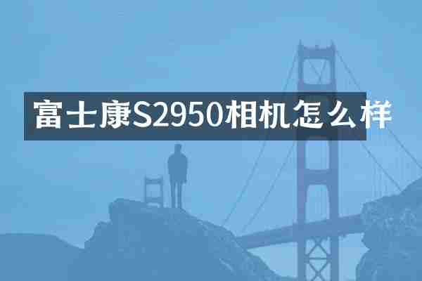 富士康S2950相机怎么样