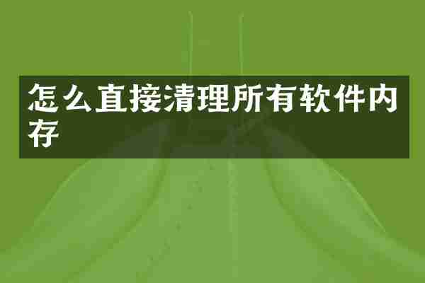 怎么直接清理所有软件内存