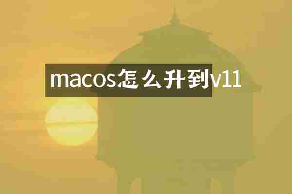 macos怎么升到v11