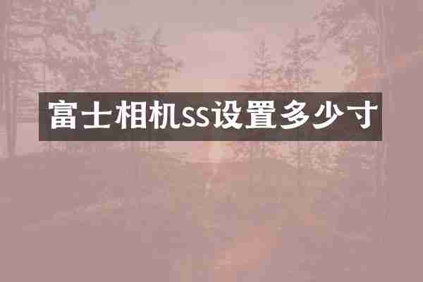 富士相机ss设置多少寸