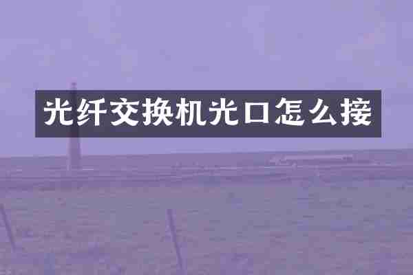 光纤交换机光口怎么接