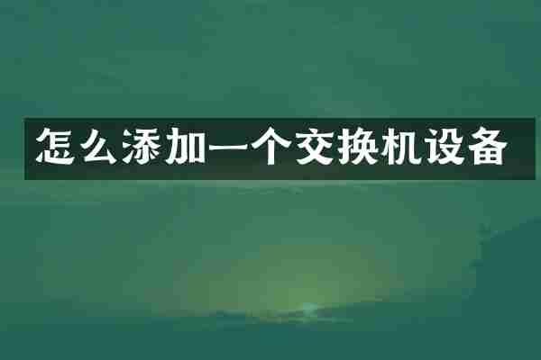 怎么添加一个交换机设备