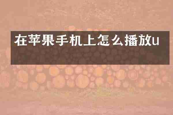 在苹果手机上怎么播放u盘