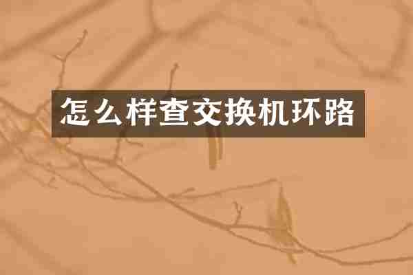 怎么样查交换机环路