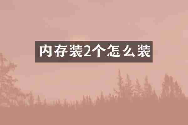 内存装2个怎么装