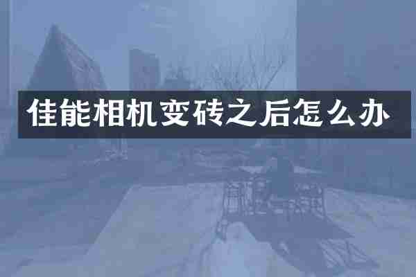 佳能相机变砖之后怎么办