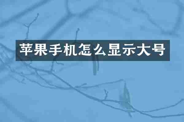 苹果手机怎么显示大号
